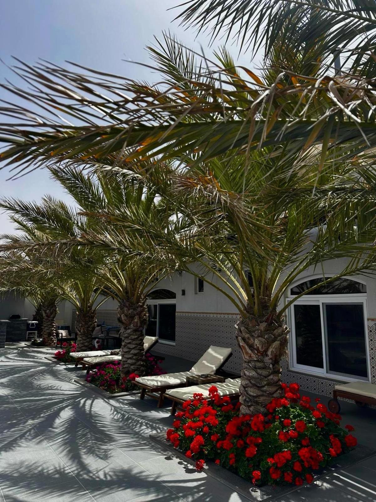 Golden Rays Chalet Medeba Dış mekan fotoğraf